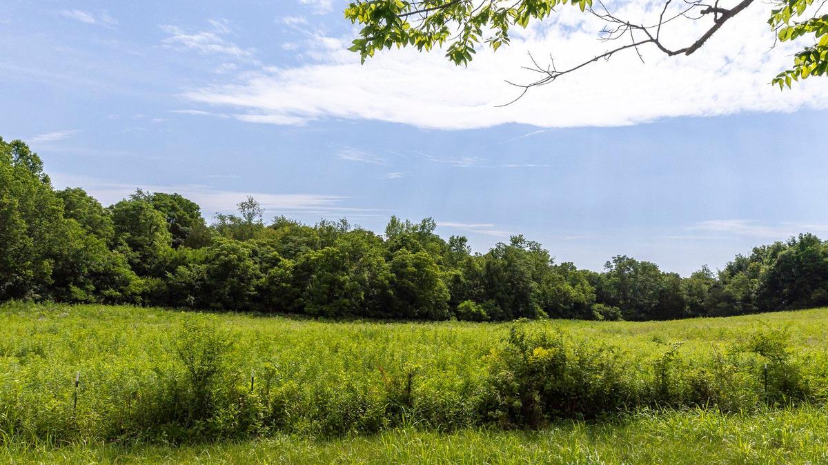 A farm at 8200 Tates Creek Rd. wants to subdivide its 144-acre property near the Jessamine County line into 10-acre subplots. Wednesday, June 26, 2024