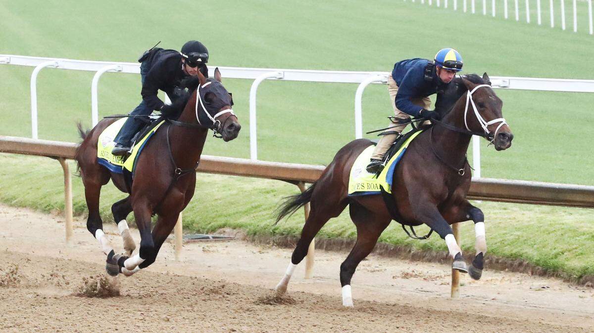 Here’s who owns every 2023 Kentucky Derby horse and the road they took to Churchill Downs
