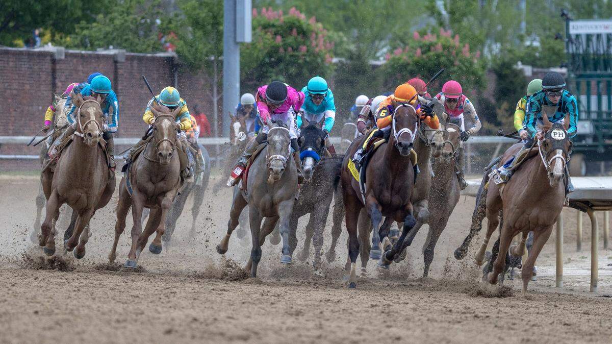 What happened to Tapit Trice, Derma Sotogake and all the other Kentucky Derby also-rans?
