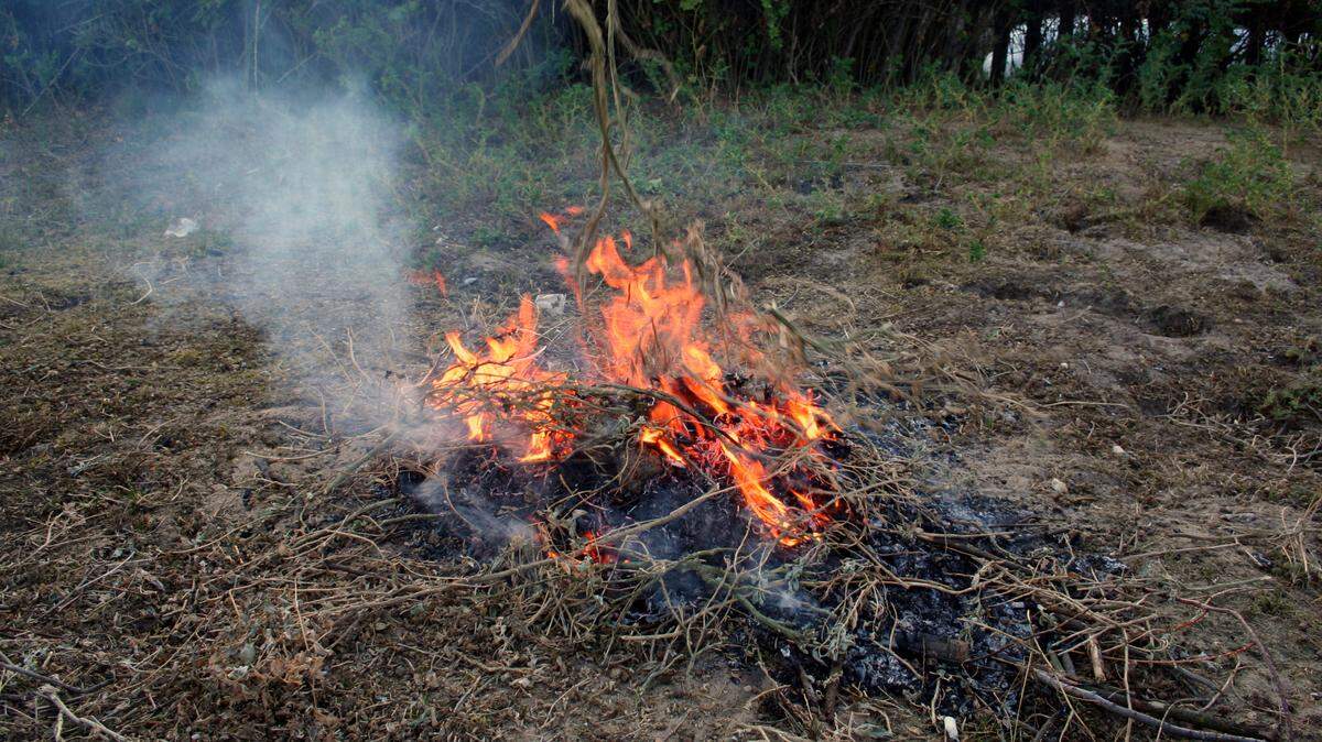 Spring burn
