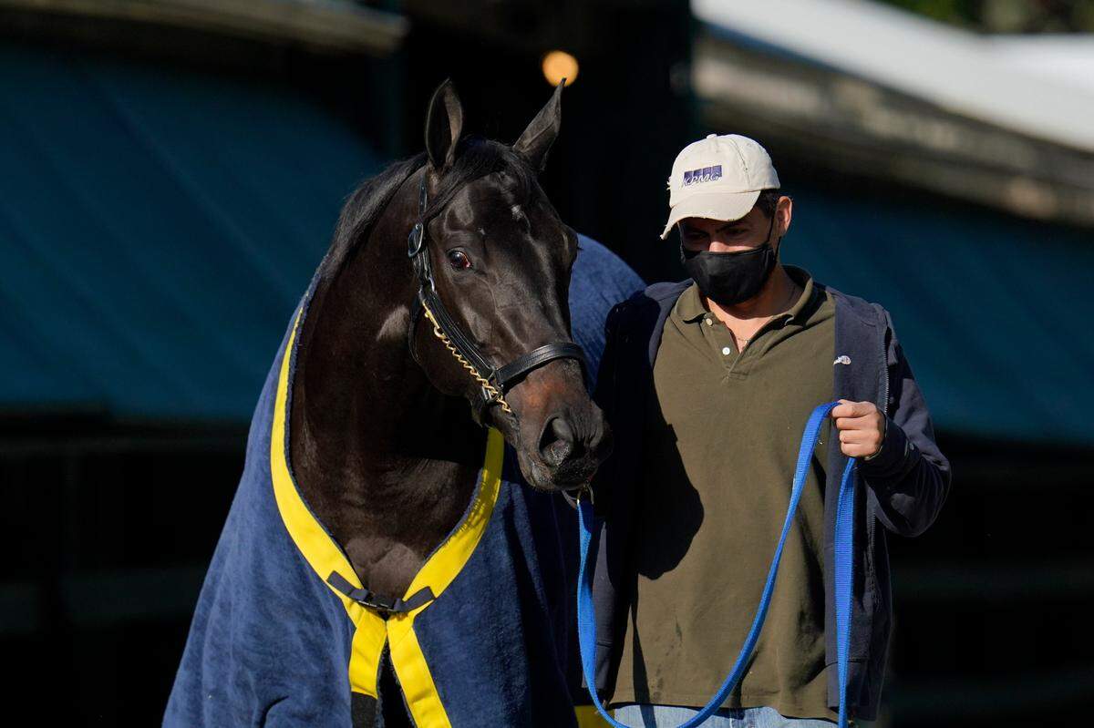 Medina Spirit won the 2021 Kentucky Derby, then tested positive for a medication not allowed on race days.