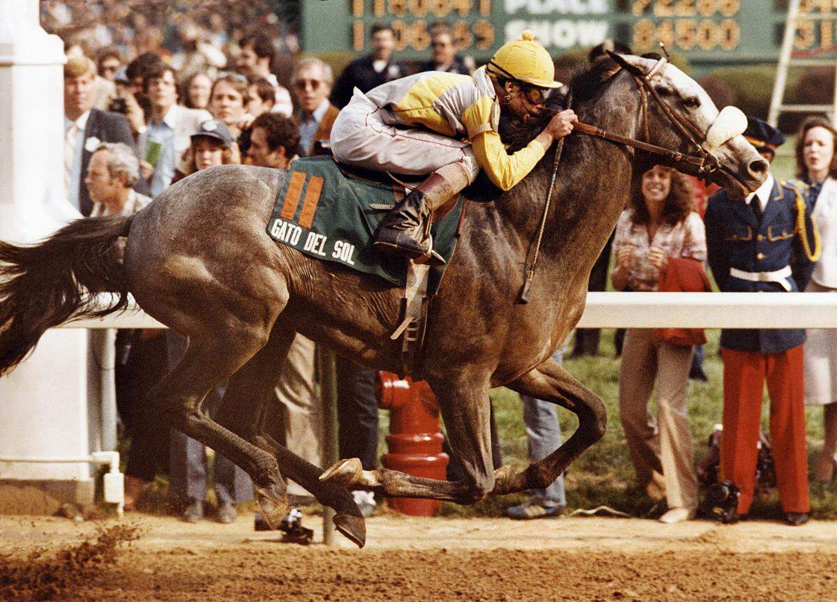 Gato Del Sol, a Stone Farm homebred, won the 1982 Kentucky Derby.