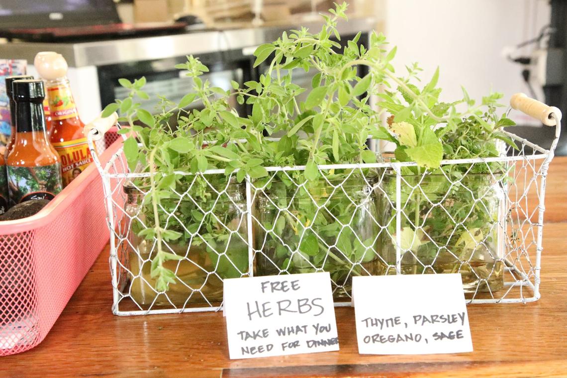 Free herbs are available for pick up at Wilson’s Grocery on May 23, 2024, in Lexington, Ky.