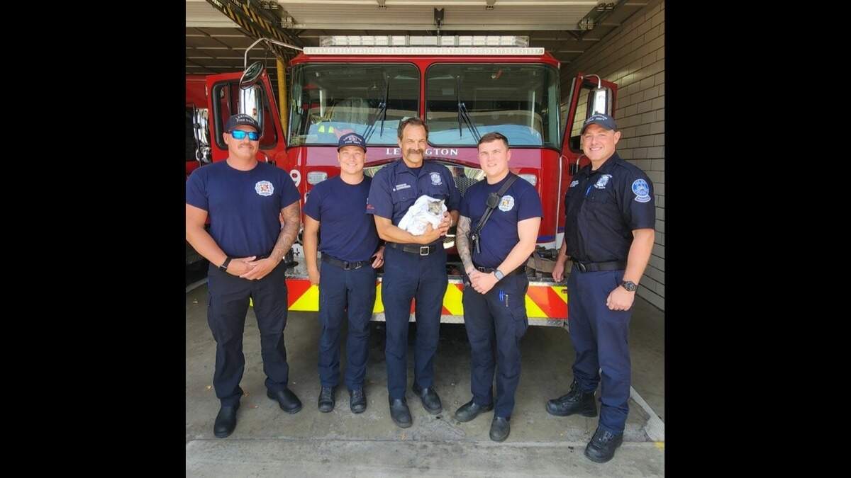 Members of the Lexington Fire Department pose for a photo with a kitten named Stormy, who rescued from a storm drain at the intersection of Richmond Road and Mt. Tabor Road on July 16, 2024.