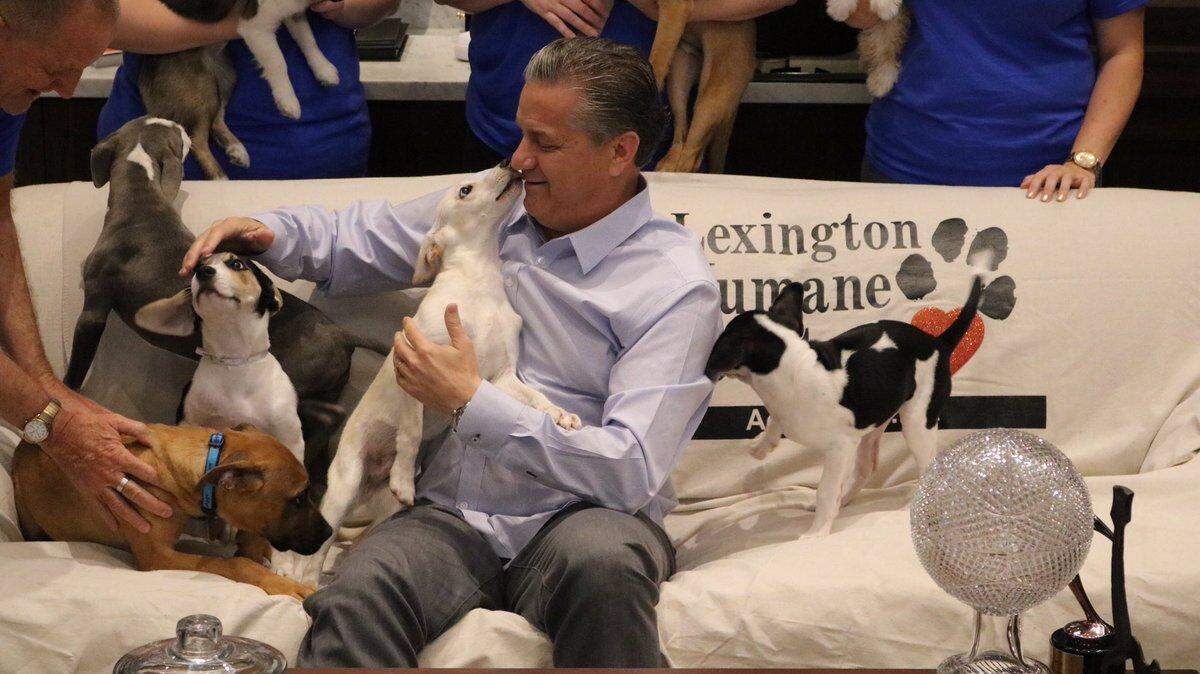 John Calipari welcomed a number of puppies from the Lexington Humane Society into his office Thursday morning to refute the assertion made by a Louisville fan this week that he "hates puppies."
