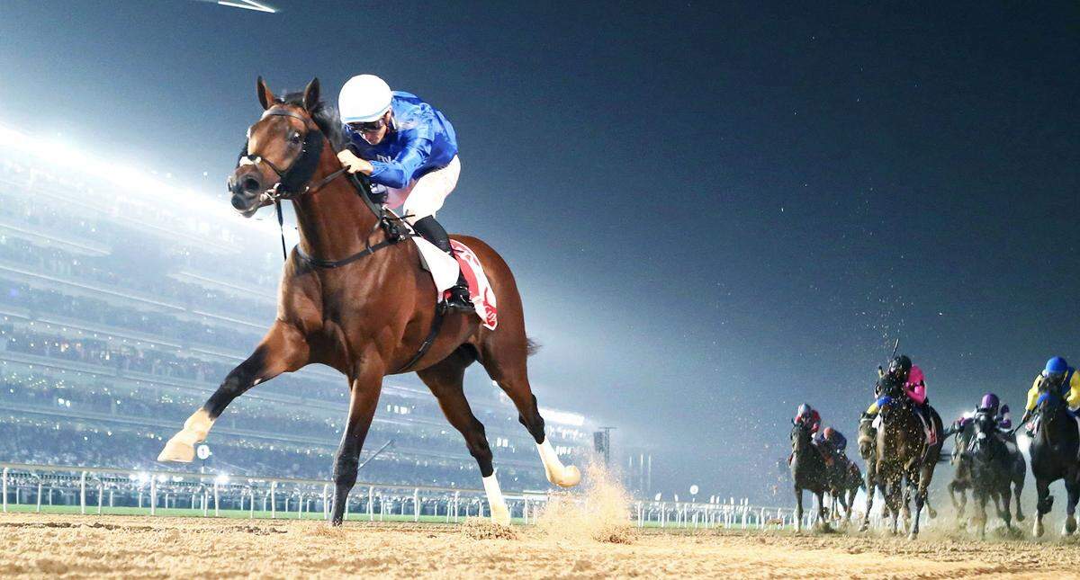 Thunder Snow won this year’s $10 million Dubai World Cup by an astounding 5 3/4 lengths, but the last time he ran at Churchill Downs, in the 2017 Kentucky Derby, things did not go well.