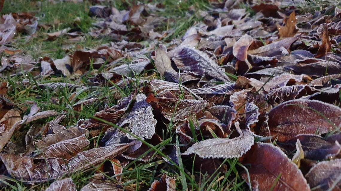 When will Central KY see its first fall frost? It may be sooner than you think