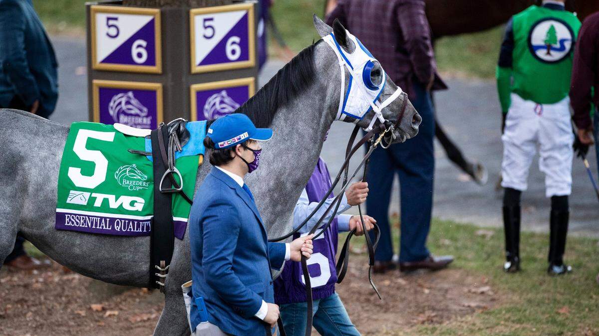 Essential Quality was led through the Keeneland paddock before the 2020 Breeders’ Cup Juvenile, which he won last fall in Lexington.