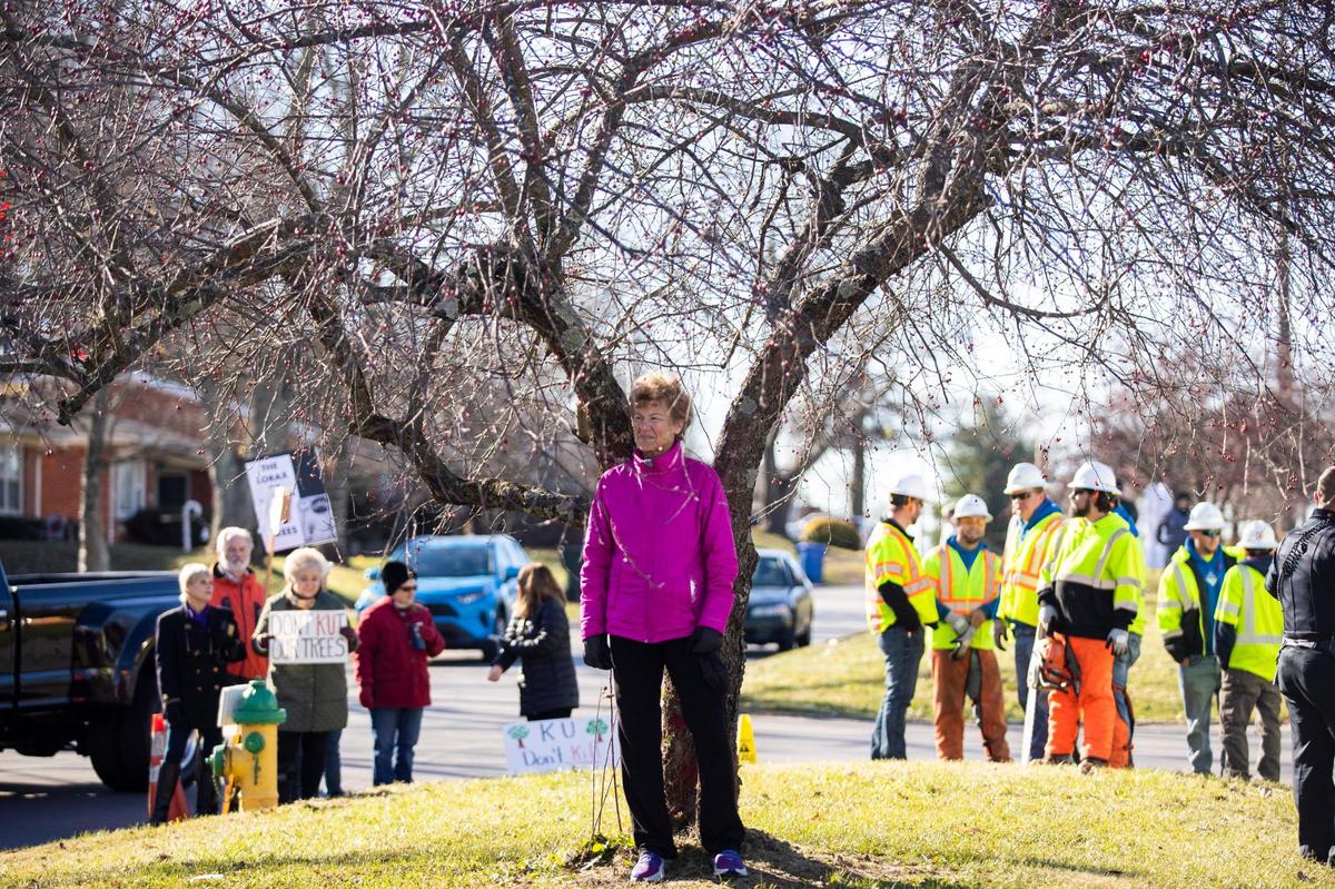 Laura Zimmerman didn’t move when police told her to, so she was arrested at a protest of KU clear-cutting on Lansdowne Drive Monday.