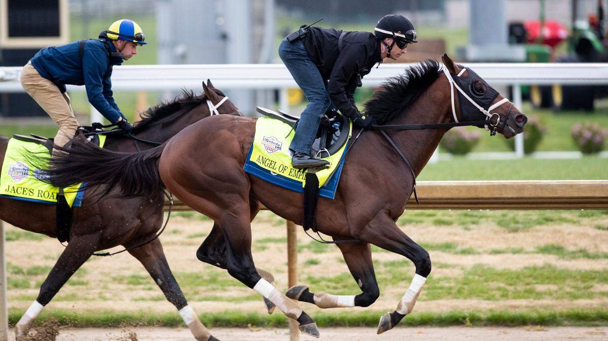 A run through the field: Odds and info on every 2023 Kentucky Derby contender