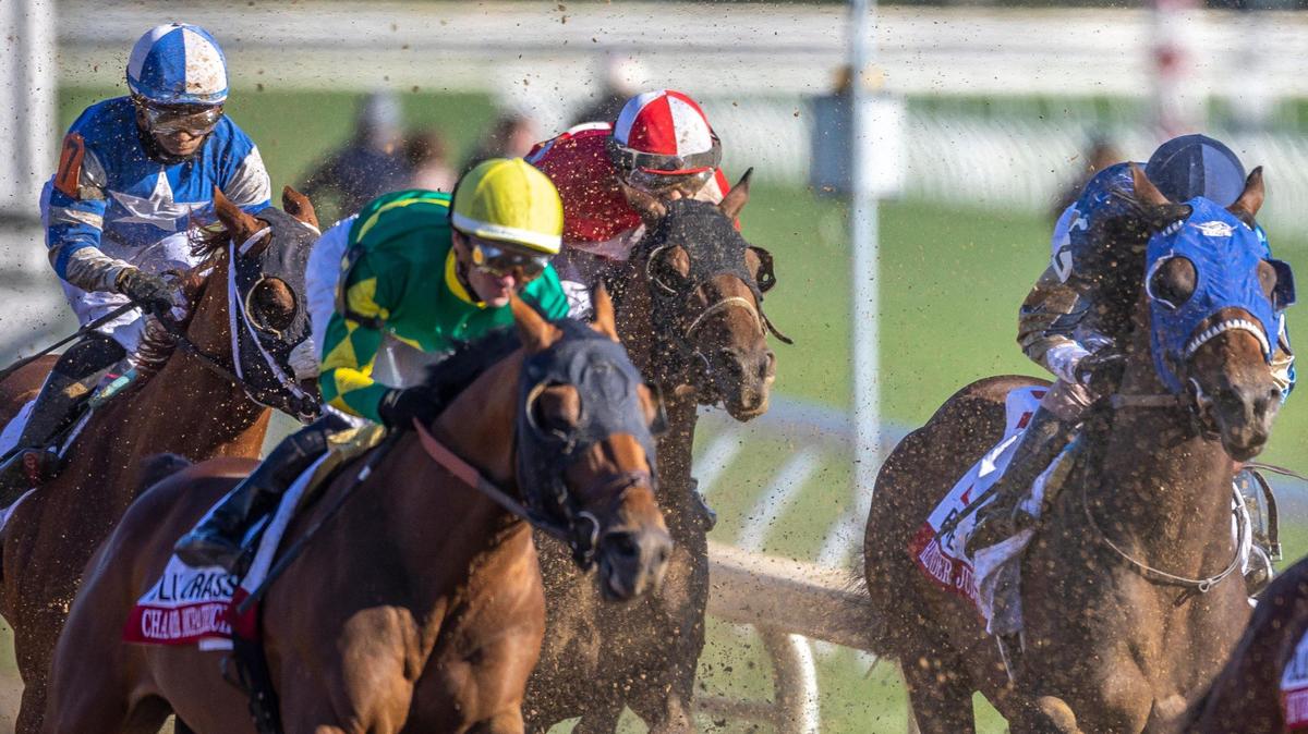 2025 Kentucky Derby betting lingo guide: Key terms to know & how to place a bet
