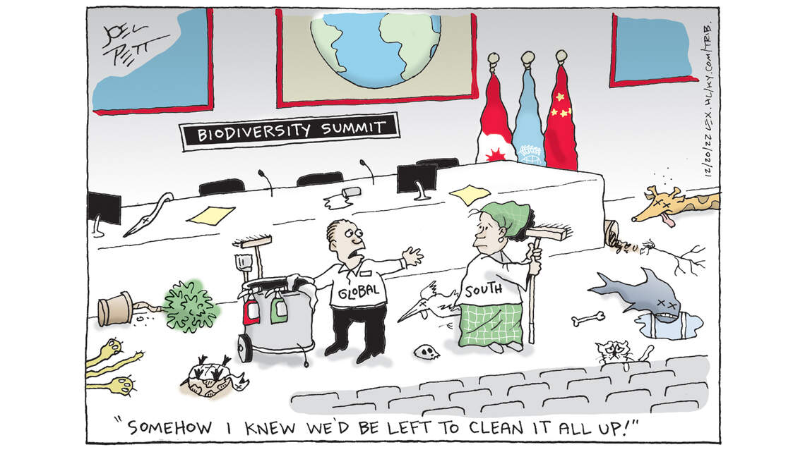 Joel Pett: The age of extinction