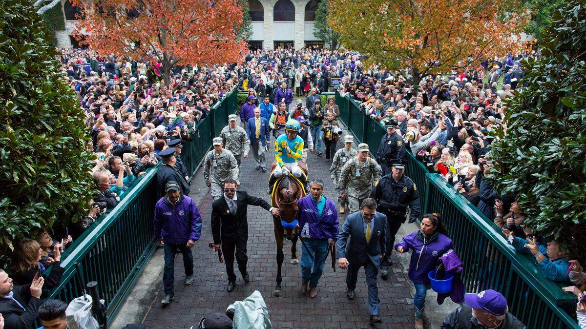 American Pharoah with Victor Espinoza up are led through the  paddock to the track before the Breeders’ Cup Classic, Saturday,  Oct. 31, 2015, at Keeneland Racecourse in Lexington. The championships apparently are returning to Lexington in 2020.