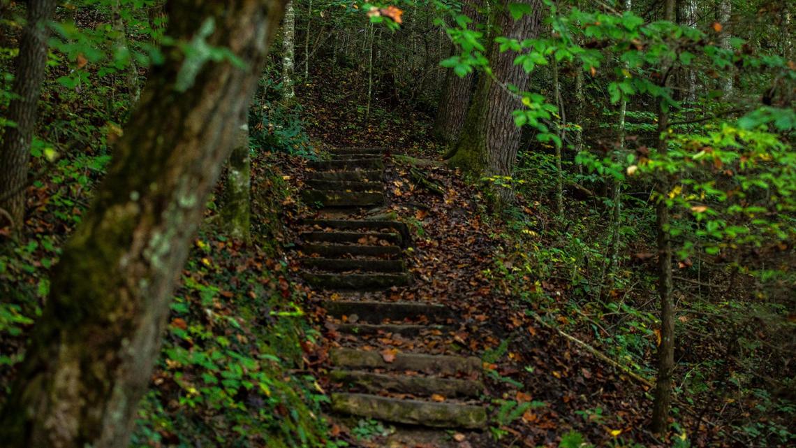 Get outdoors with 3 sites in Central and Eastern Kentucky to pitch a tent this summer