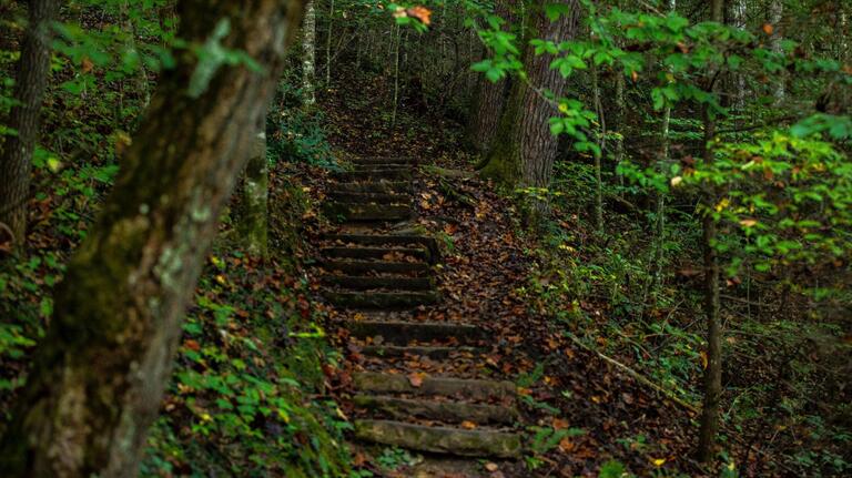 Get outdoors with 3 sites in Central and Eastern Kentucky to pitch a tent this summer