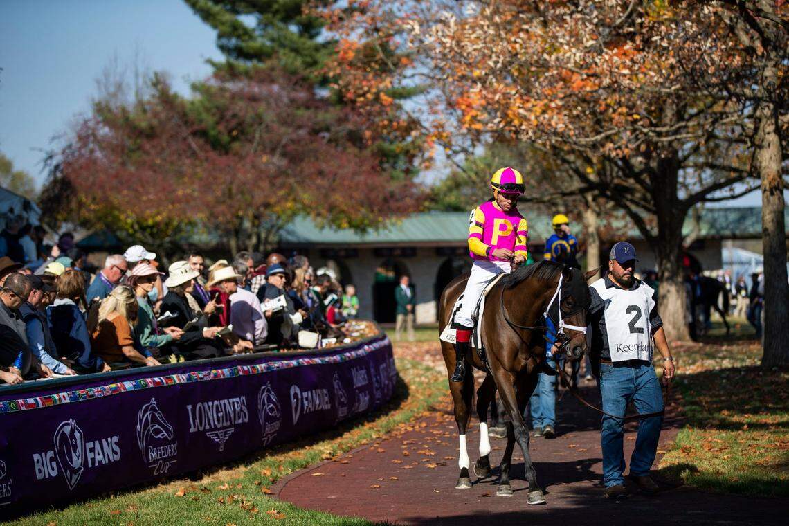 Magical Song with Joel Rosario up walks through the paddock before a Breeders’ Cup undercard race at Keeneland on Friday. Magical Song finished third behind Black Forest and Klassy Bridgette.