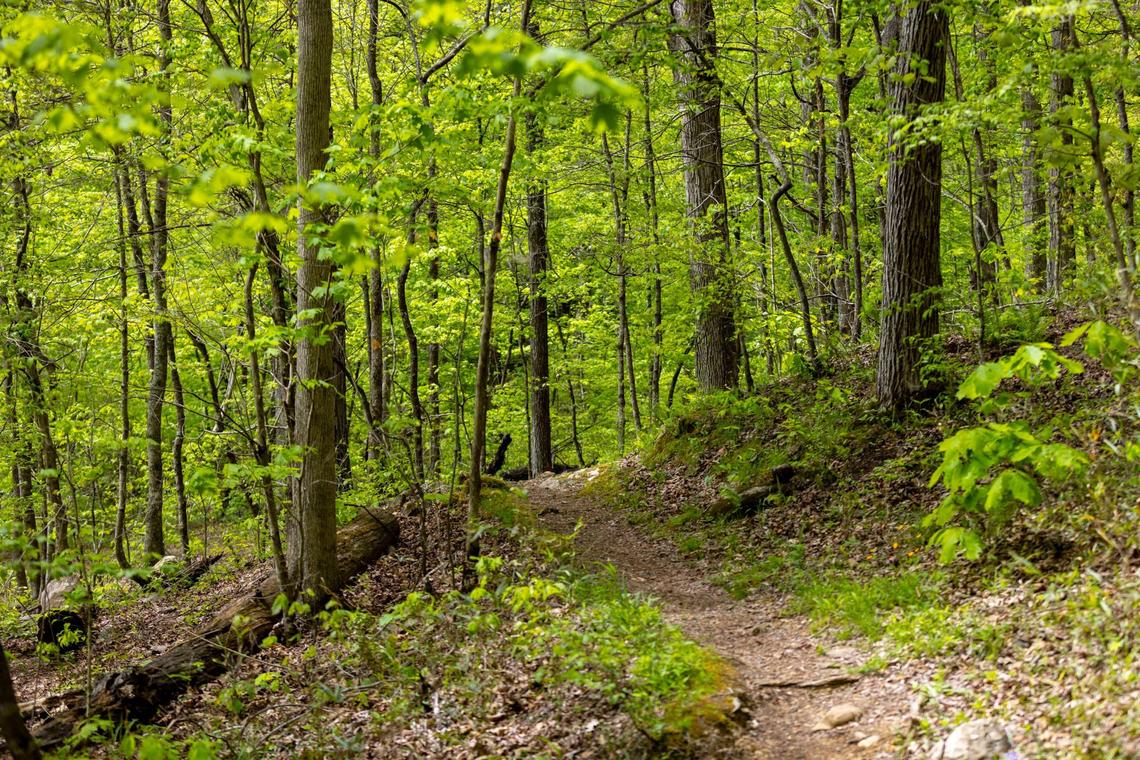 The Lake Trail meanders along Pennyrile Lake at Pennyrile Forest State Resort Park.
