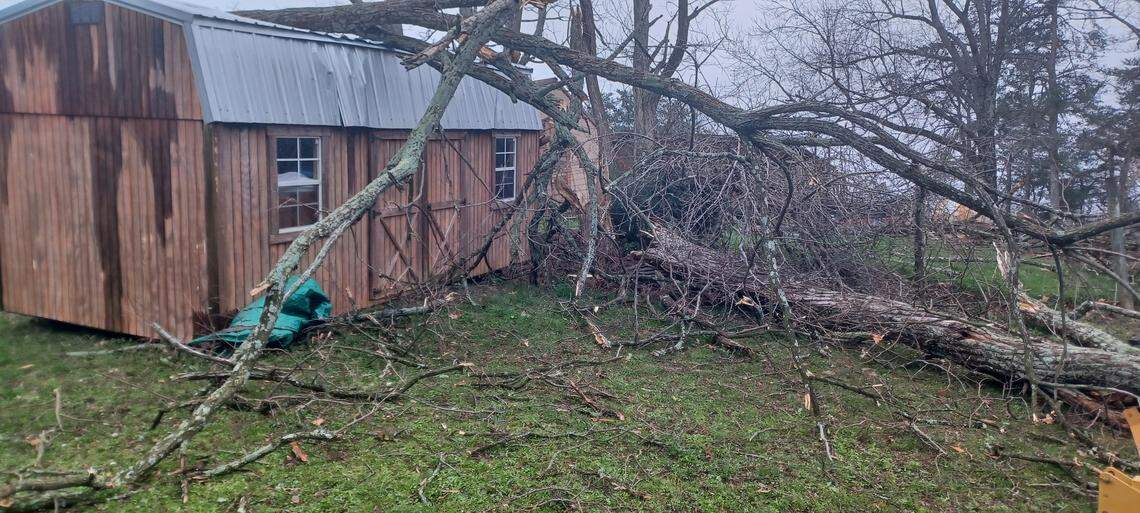 An EF-1 tornado caused a tree to fall on a building in Eastview, Ky. on March 15, 2026.