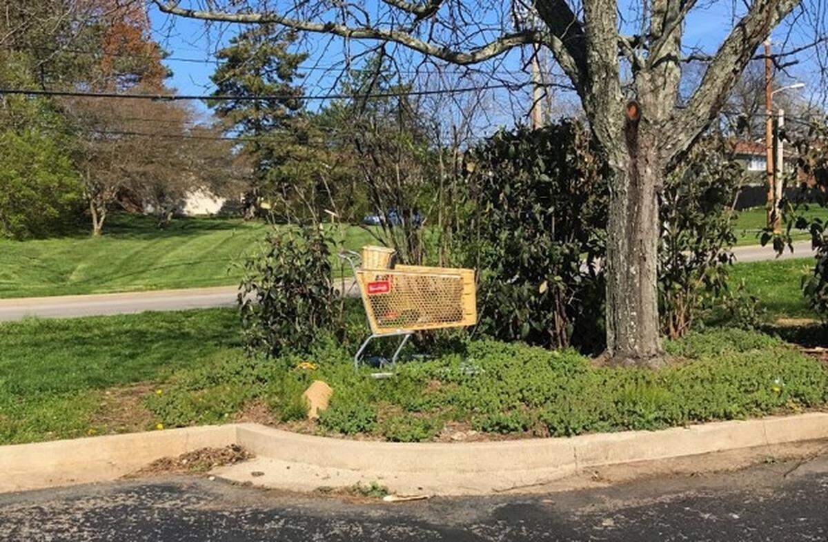 The city of Lexington is looking for ways to reduce the number of abandoned shopping carts as the problem has exploded in recent months.