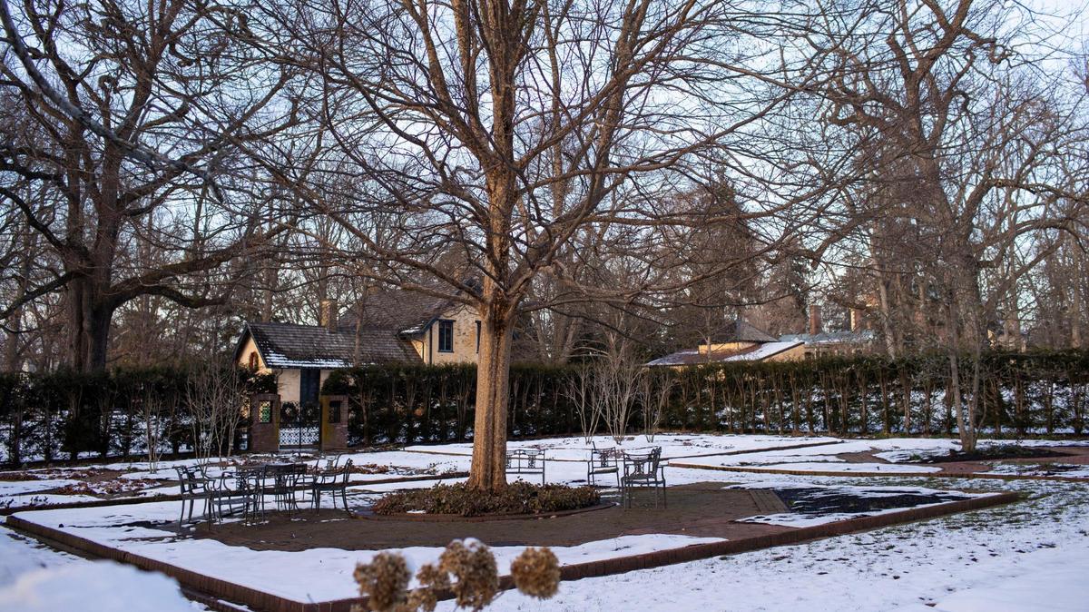 The formal garden, still covered in some snow, has been closed since October because of blight affecting the boxwoods at Ashland, the Henry Clay Estate in Lexington, Ky. Nearly 500 boxwoods have been removed.