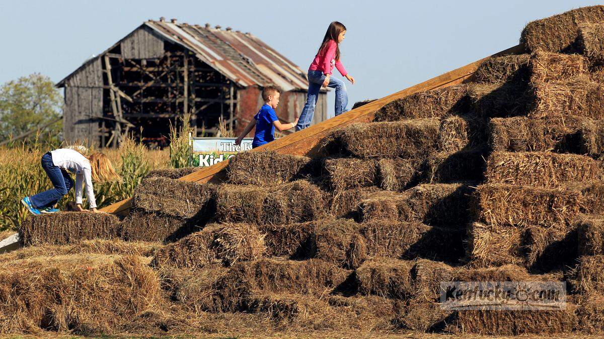 Here’s where to find some 2022 fall events, festivals and fun in the Lexington area. File photo