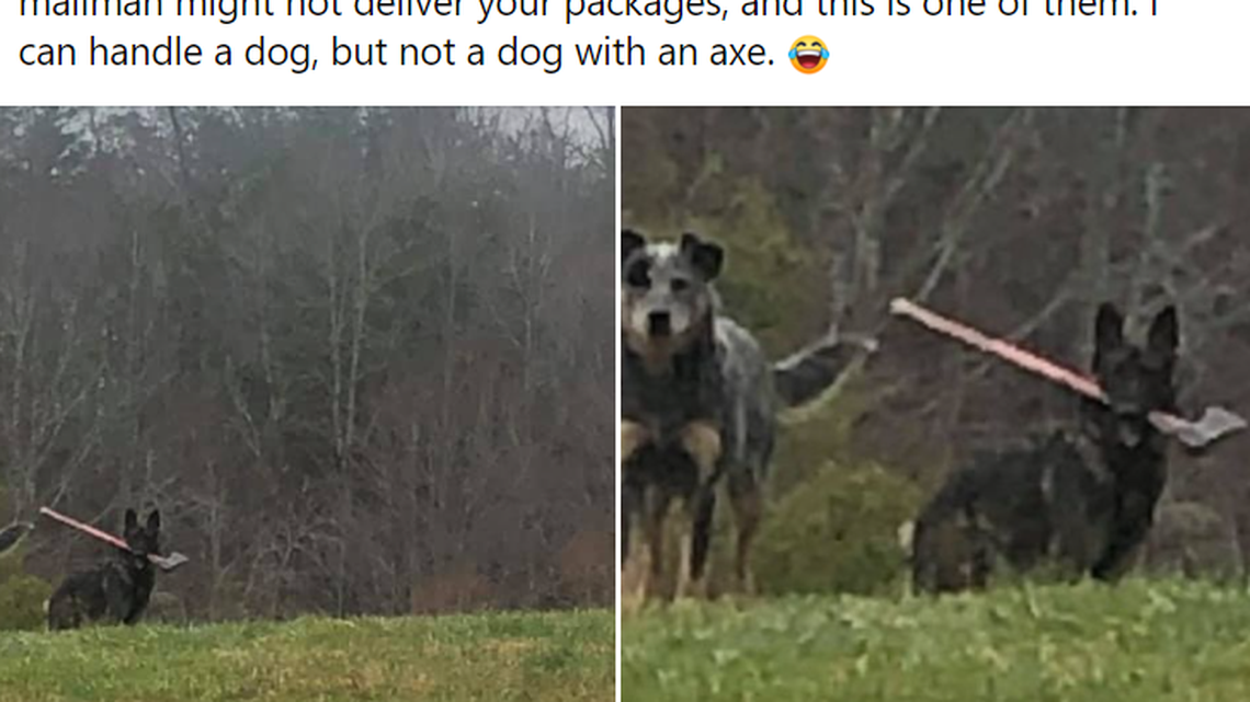 Kentucky mailman Tim Smith was being watched intensely by this pair of dogs on his rural delivery route.