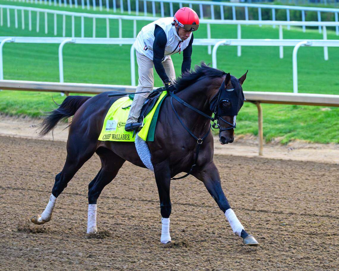 Chief Wallabee training at Churchill Downs on April 26, 2026.