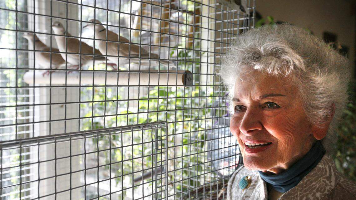 Adelin Wichman, 87-year-old artist, photographed on Friday, Sept. 3, 2010, with her doves at her home in Lexington, Ky.  This is a story about the annual dinner at Univ. of Kentucky Sanders-Brown Center on Aging.
Wichman will be one of the "Senior Stars" honored at the dinner; these are folks who are still busy and vibrant and brainy at ages when some others slow down.  Photo by David Perry | Staff
