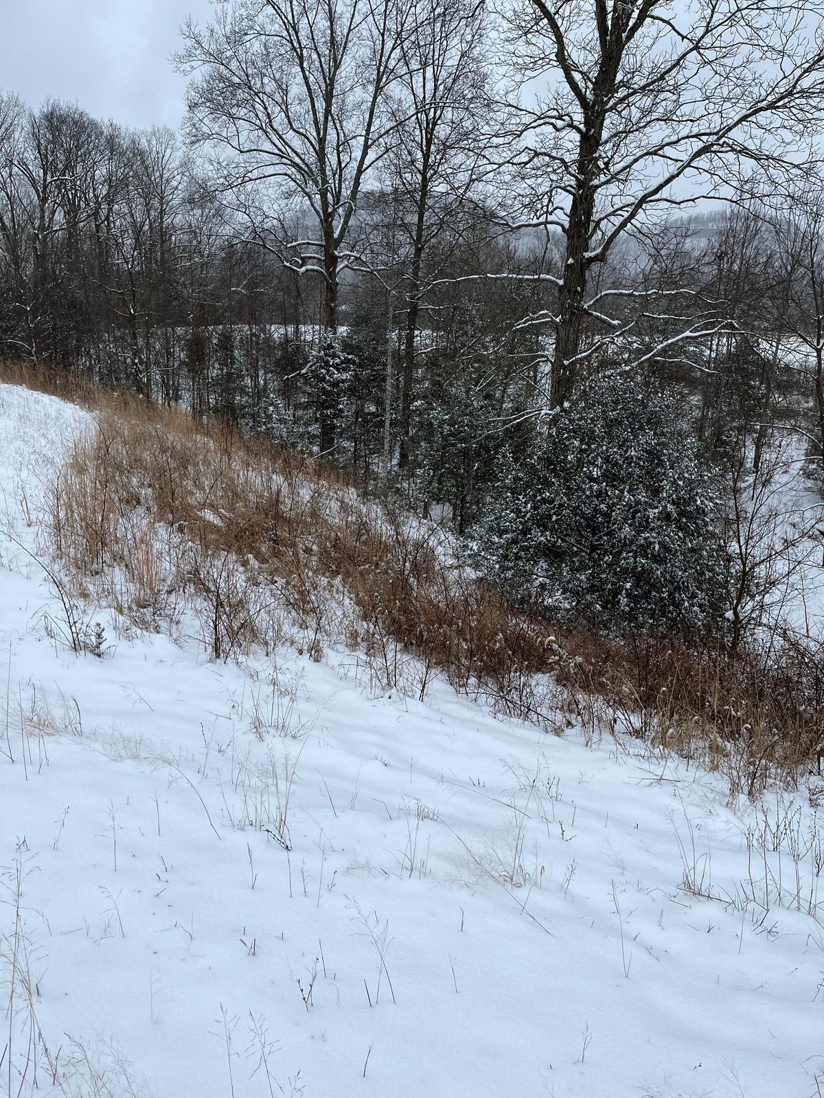 The winter landscape on Mark Reese’s Estill County farm.