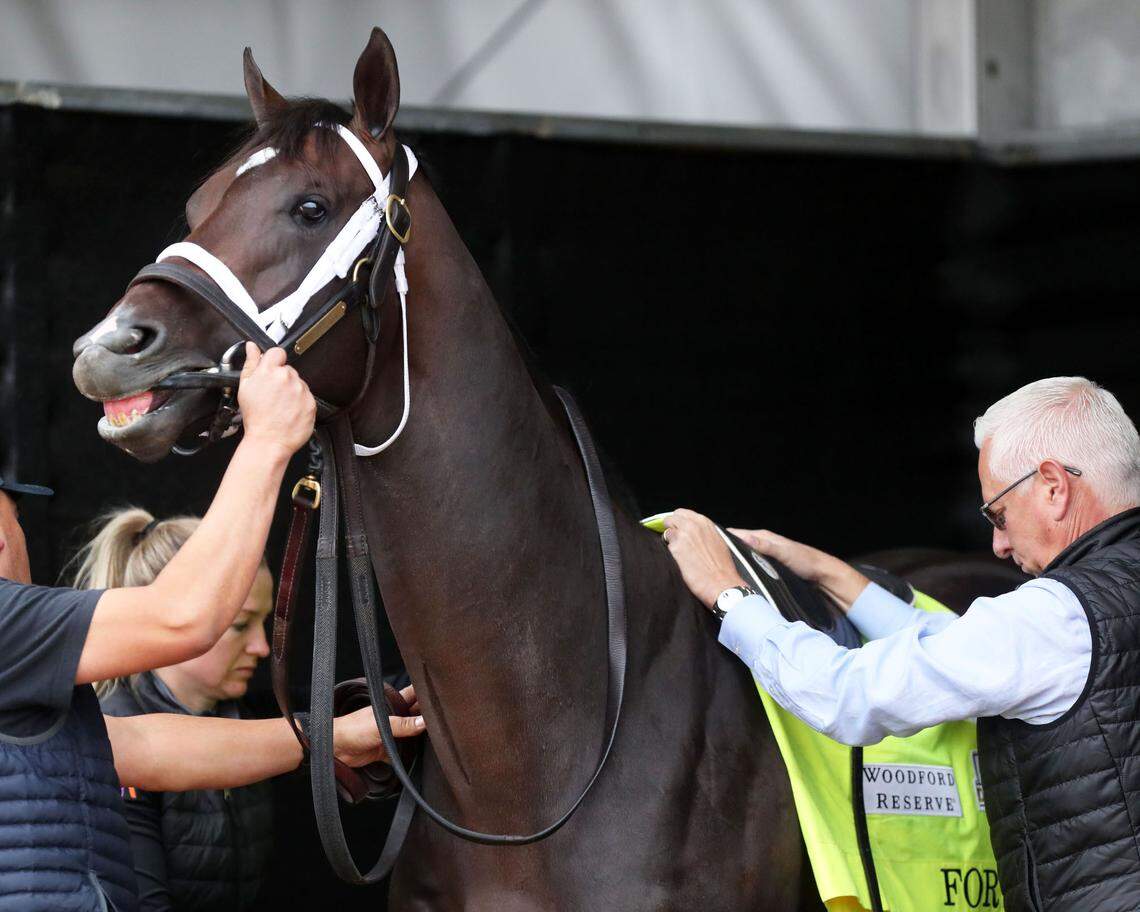 Trainer Todd Pletcher, right, helps out with Forte during paddock schooling on Tuesday at Churchill Downs. Forte has six wins in seven starts and hasn’t been beaten since last July.