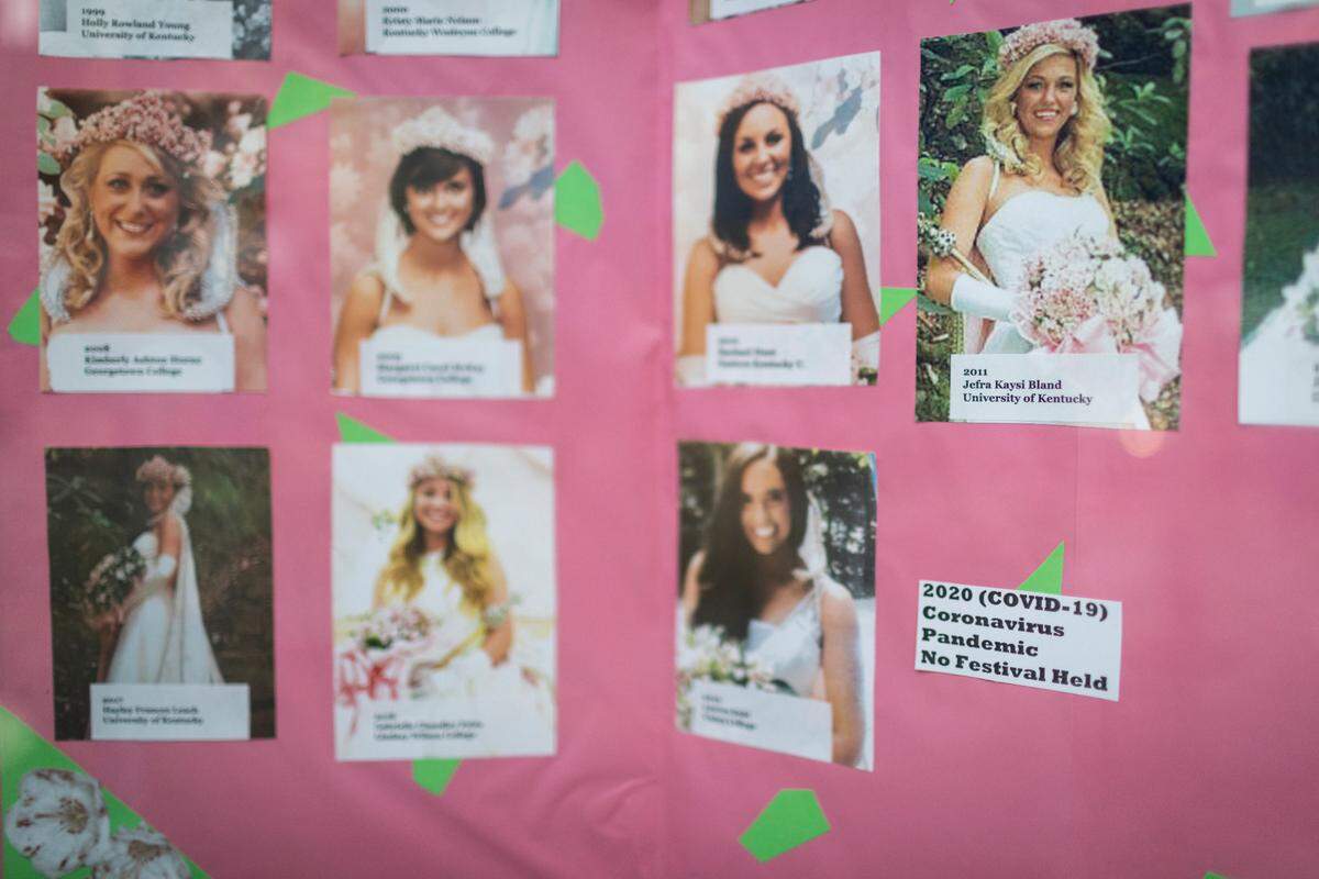 A board displaying all the past Queens is displayed Friday in a shop window in downtown Pineville with a marker noting that there was no festival held in 2020 during the 90th annual Kentucky Mountain Laurel Festival. World War II and the coronavirus pandemic are the only two times that the popular festival has been not been held.