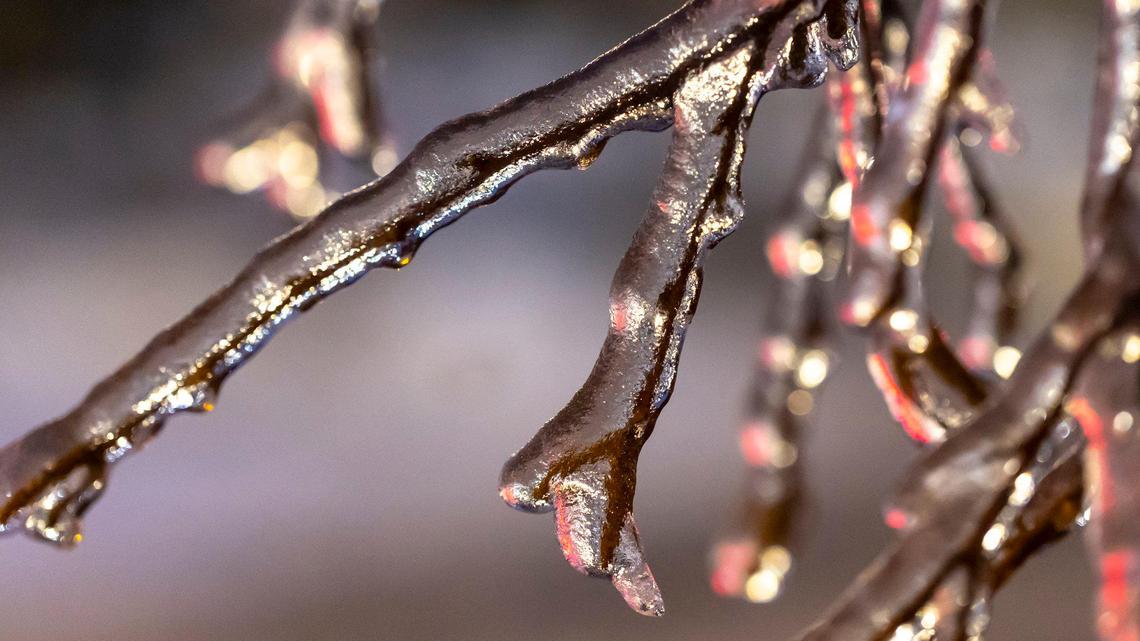 Death toll from Winter Storm Fern has risen to 15 in Kentucky