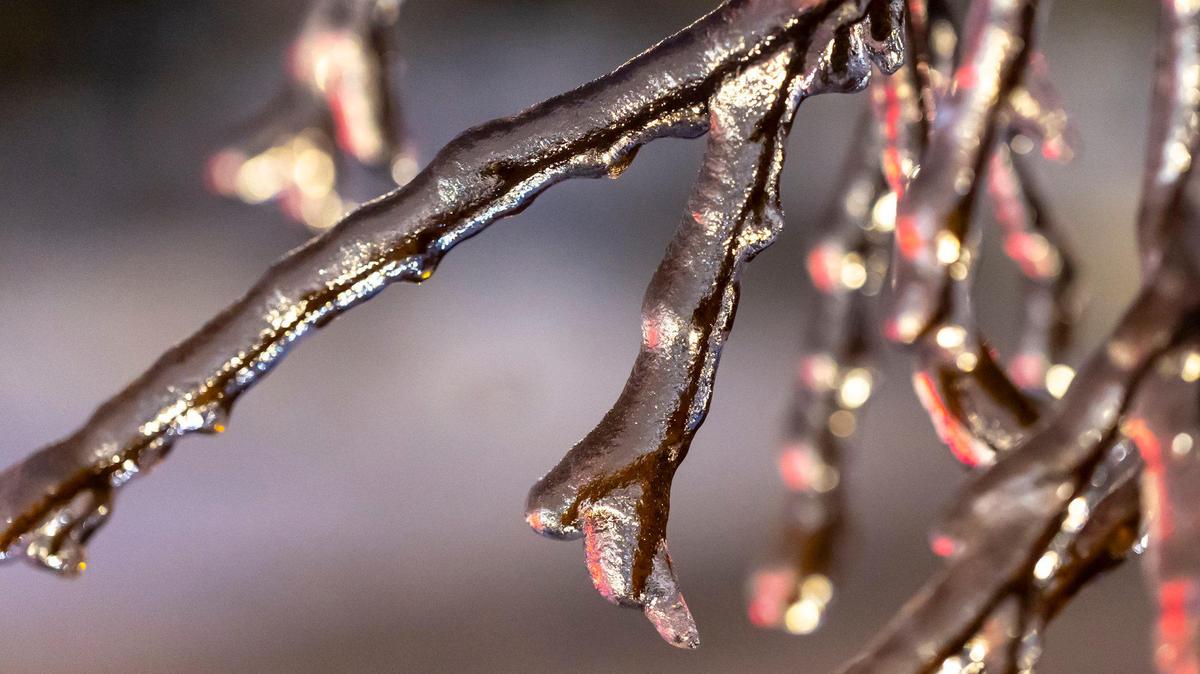 An ice storm could bring as much as a half an inch of ice to parts of the N.C. mountains, forecasters say.