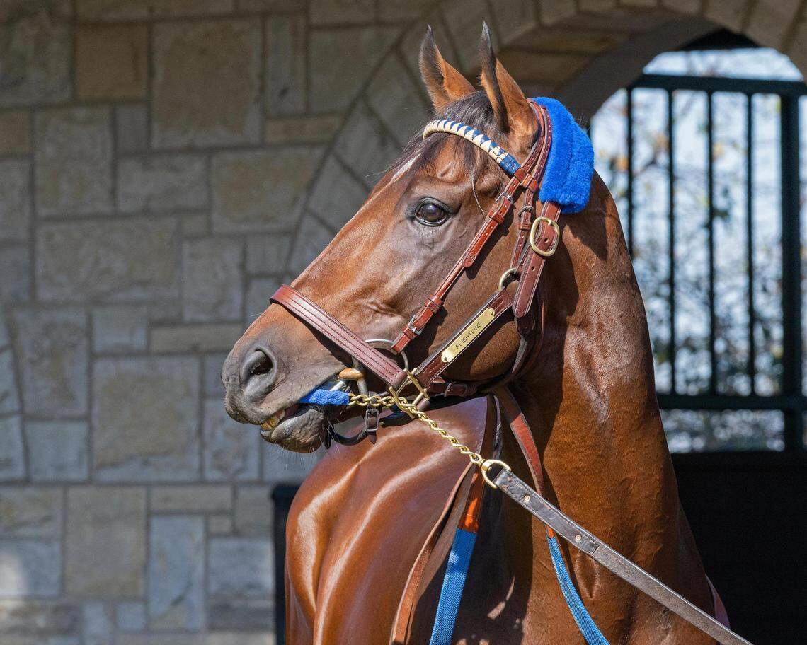 Flightline has won all five of his career races for trainer John Sadler by a total of 62 3/4 lengths.