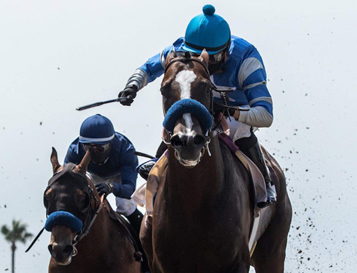 Thousand Words, one of Bob Baffert’s two trainees in the 2020 Derby, boasts the second-best Beyer Speed Figure in this field behind the favorite, Tiz the Law.