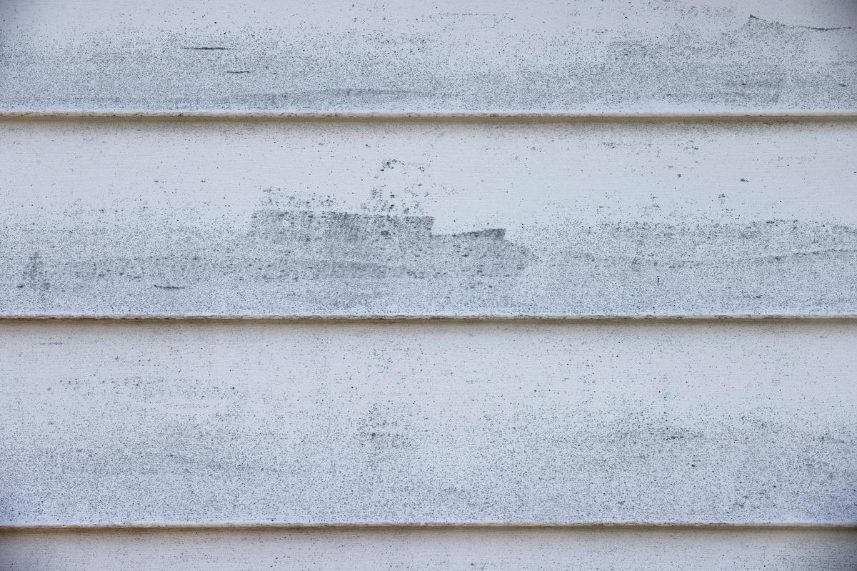 Less than a year after Ernie Bostick’s neighbor powerwashed her home near the Wild Turkey distillery and bourbon warehouses, whiskey fungus is already growing again.