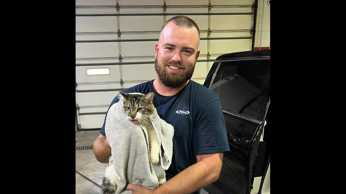 A Lexington firefighter rescued a cat that trapped inside under the dashboard of a hot vehicle.