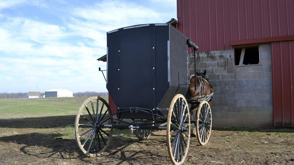 Amish Buggies Triangles