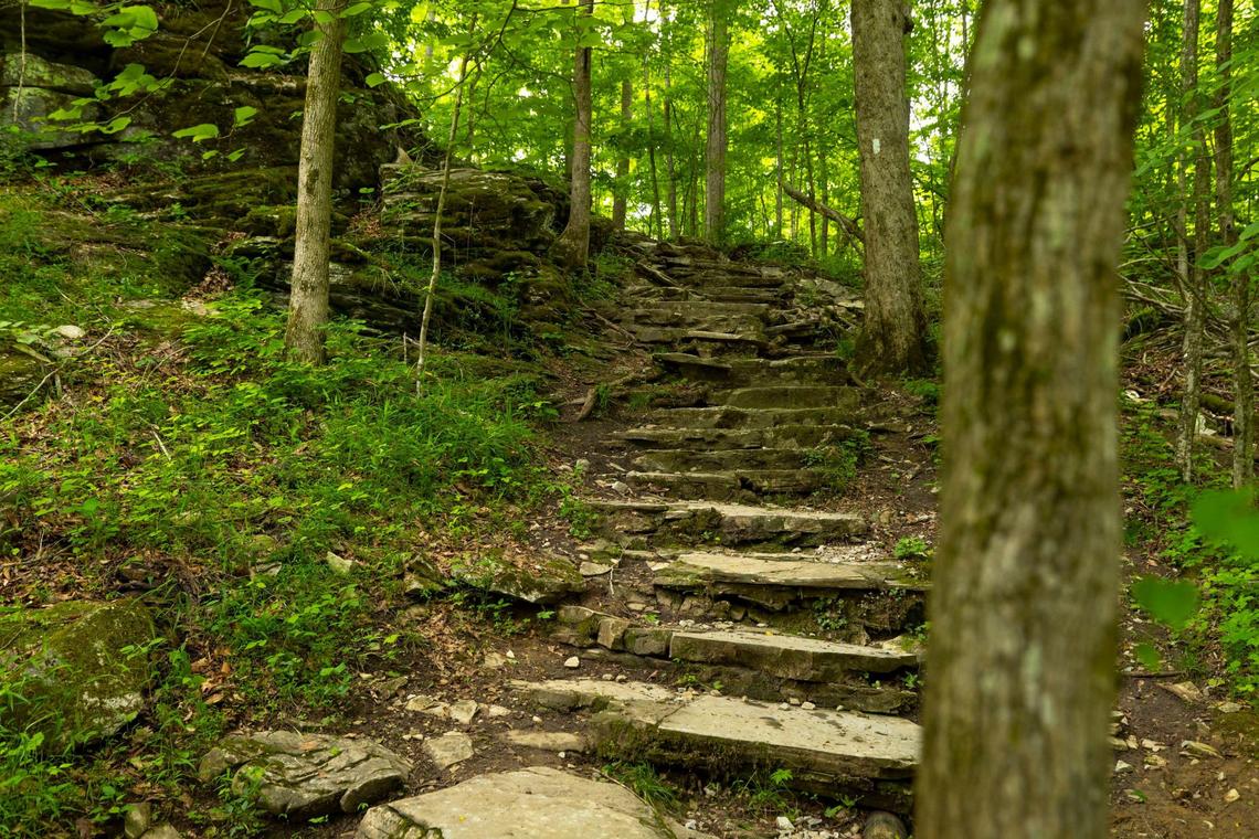 Hiking trails of various distances crisscross Carter Caves State Resort Park.
