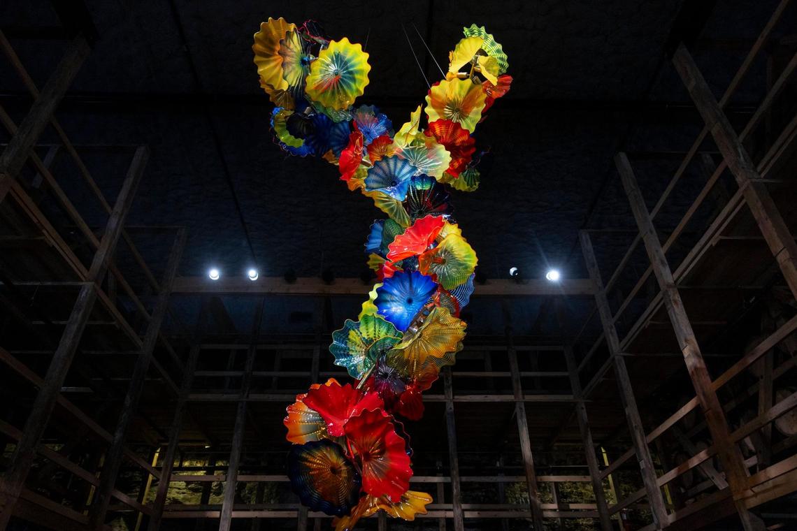 “End of the Day Persian Chandelier” by Dale Chihuly is displayed inside the Cellar at Maker’s Mark new Chihuly exhibition at Star Hill Farm, home of Maker’s Mark Distillery, in Loretto, Ky., on Friday, July 18, 2025.
