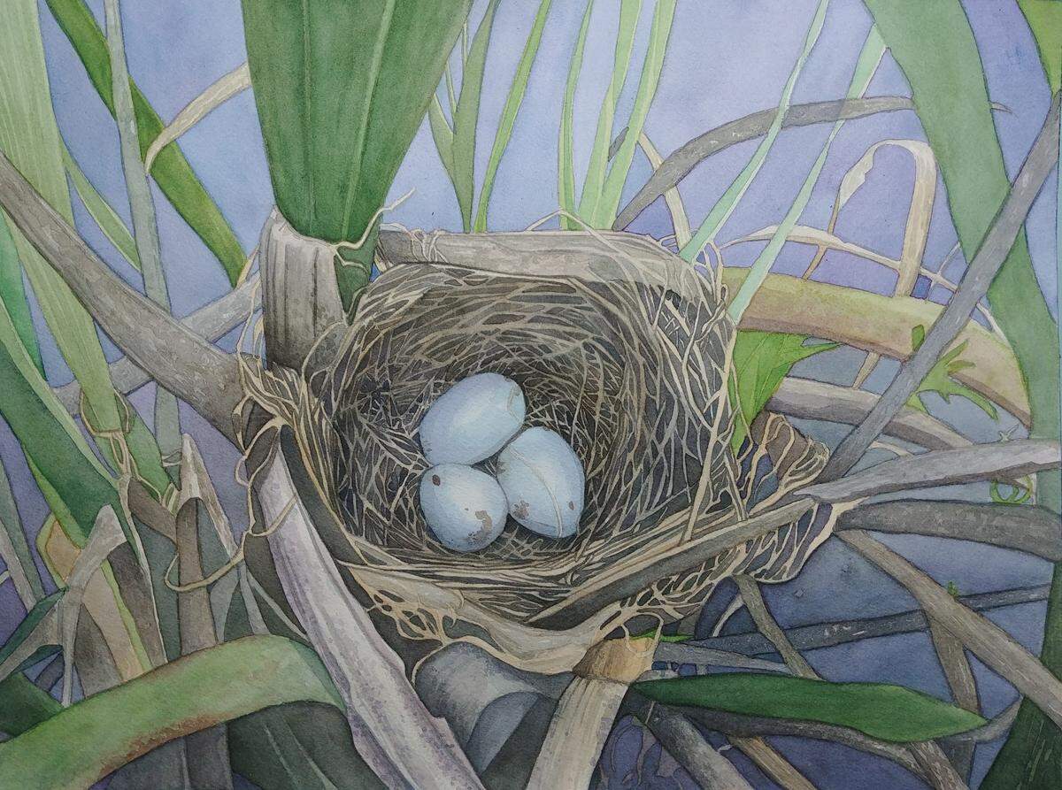 “Nesting” by Deborah Slone
