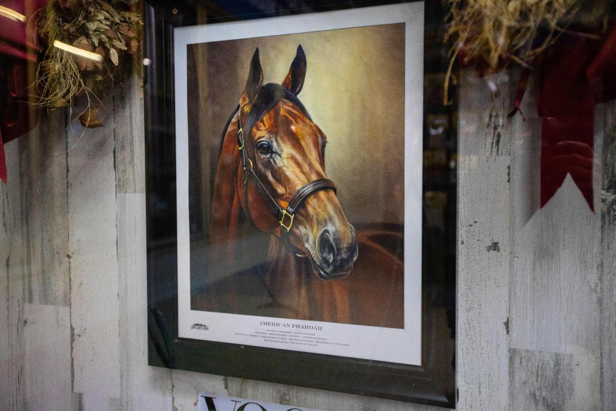 A portrait of Triple Crown winner American Pharoah hangs underneath his Kentucky Derby rose blanket on display within Silver Streak Market on Versailles Road.