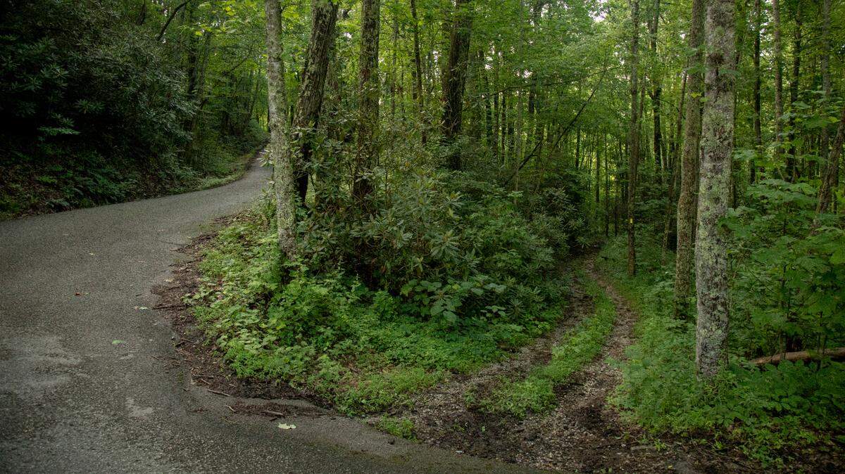 Little Shepherd Trail cuts through Kingdom Come State Park in Letcher County, Ky., Wednesday, July 29, 2020. The Little Shepherd Trail is a narrow gravel and paved road that extends 38 miles along Pine Mountain from Whitesburg to Harlan. A NASA Race Rally took place along the trail Aug. 7-8.