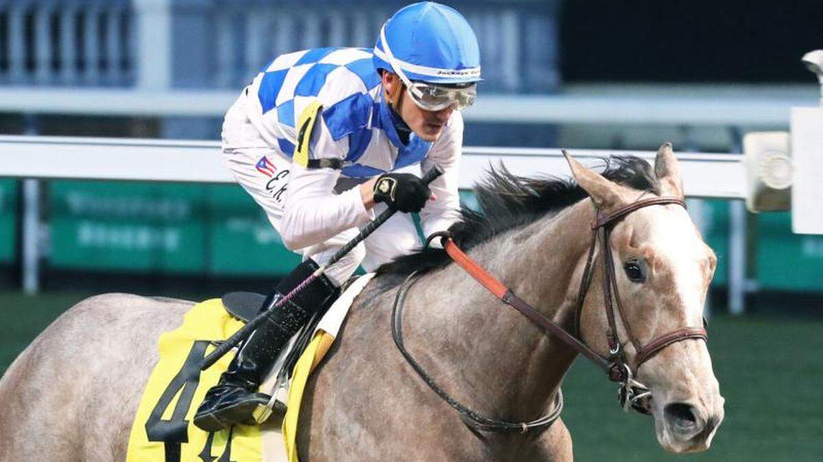 An undefeated filly named Hoosier Philly has emerged as a potential Kentucky Derby contender. She’s entered this Saturday in the Grade 2 Rachel Alexandra Stakes for fillies at Fair Grounds in New Orleans.