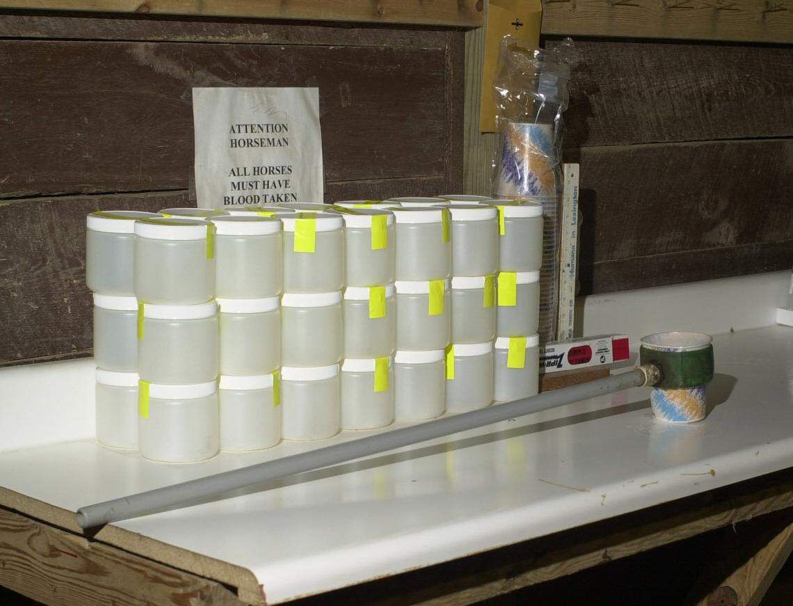 Specimen cups sit on a counter before being used in the detention barn where urine and blood samples from select horses are taken after each race at Turfway Park racetrack in Florence, Ky., in 2000. Samples are sent to labs for screening for prohibited substances.