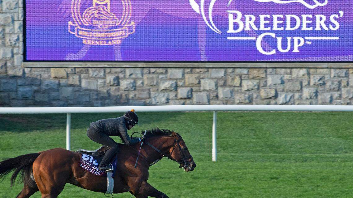 In a challenging year, new CEO has Breeders’ Cup on schedule for the finish line