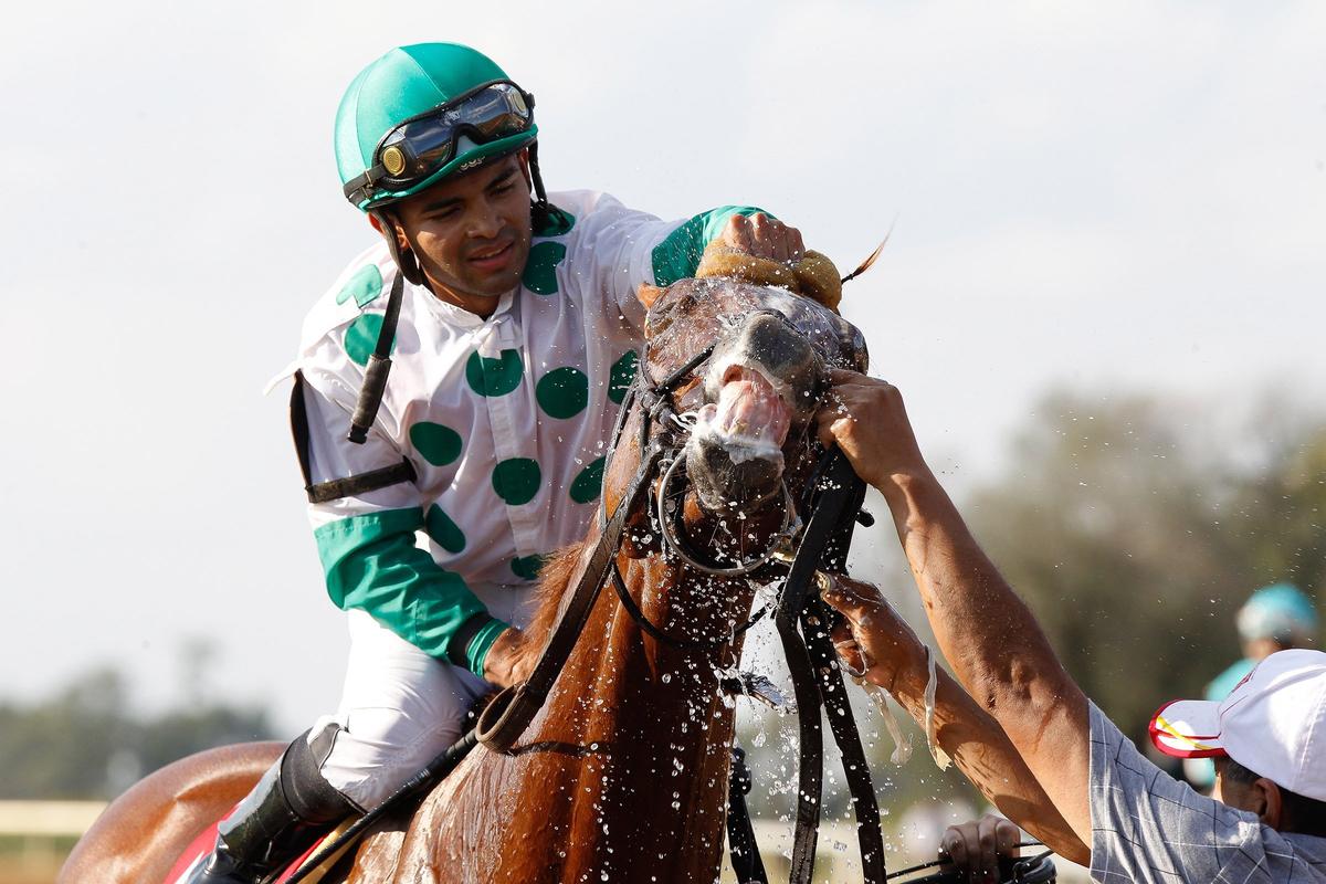 Jockey Luis Saez sponged water over Promises Fulfilled after their victory in the Phoenix Stakes on Friday on the opening day of the Fall Meet at Keeneland.