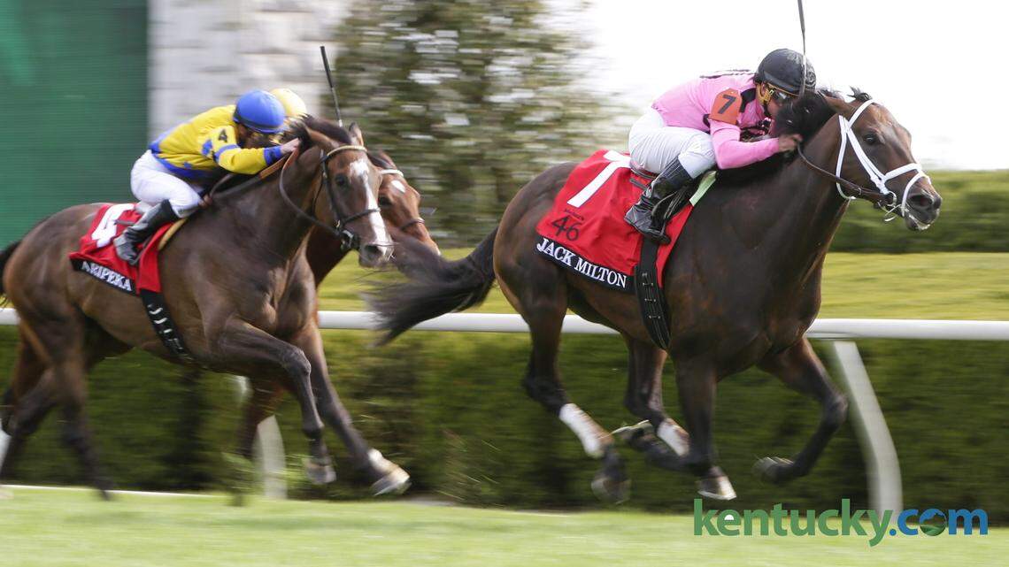Jack Milton, with Javier Castellano up, pulled away from Aripeka and Julien Leparoux to win the 2015 Maker's 46 Mile at Keeneland.