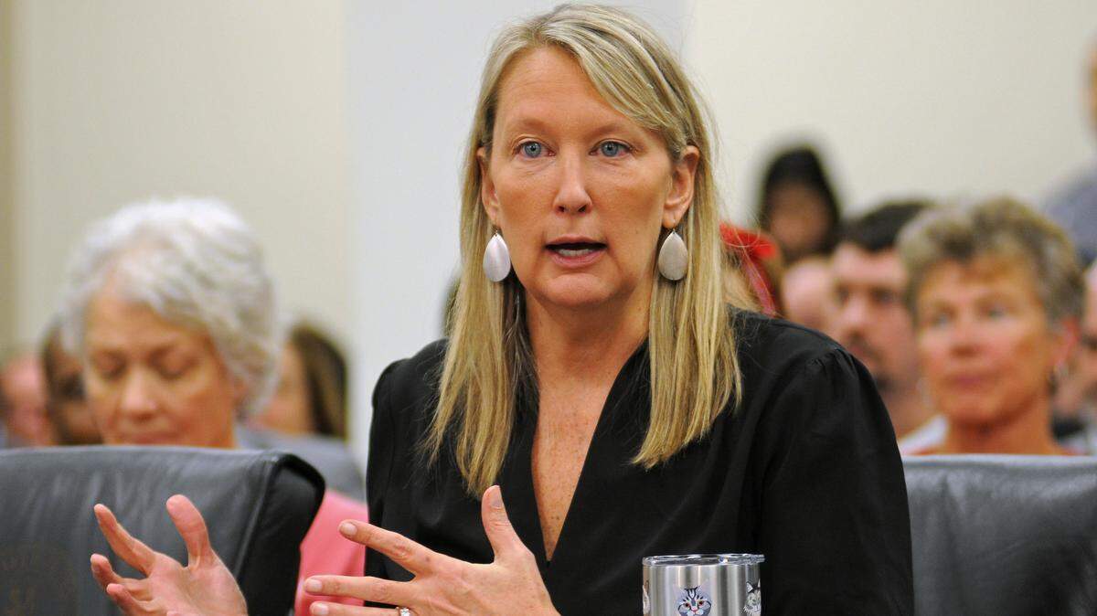 Senate Majority Caucus Chair Julie Raque Adams, R-Louisville, presents a bill in the Senate Education Committee on Feb. 7, 2019.