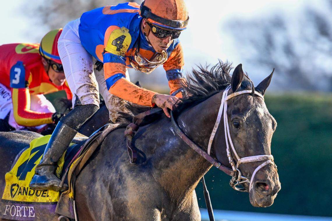 Forte, with Irad Ortiz, Jr. up, wins the Breeders’ Cup Juvenile at Keeneland in Lexington, KY on November 4, 2022. Earlier this month, the New York Times reported Forte had a positive post-race drug test in September.